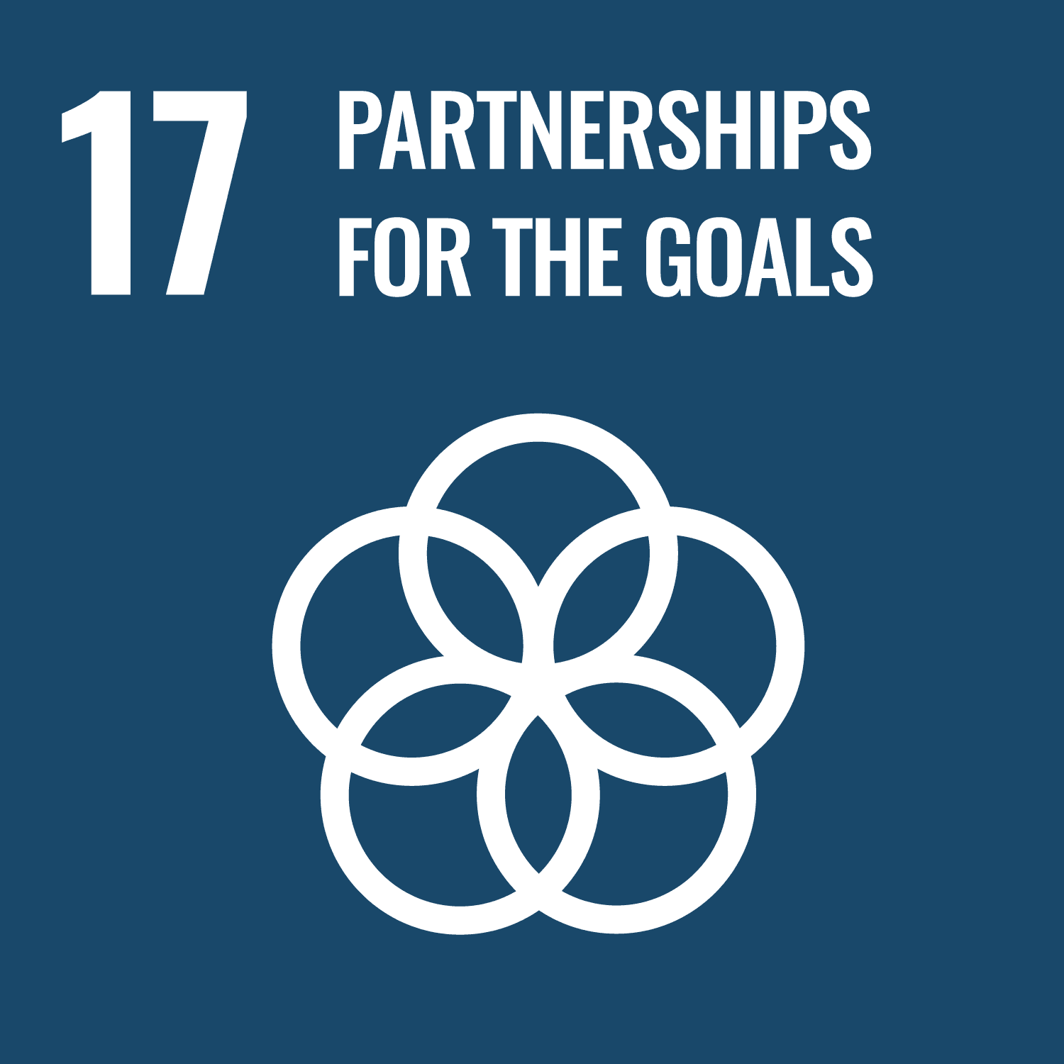 UN SDG 17: Partnerships