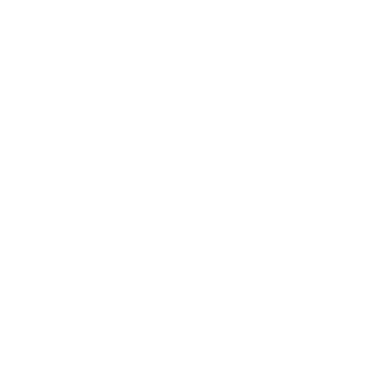Big Five Group logo
